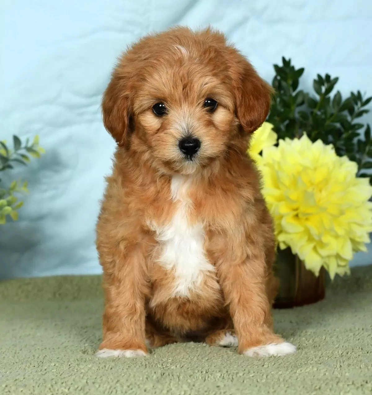 Rueben Miller