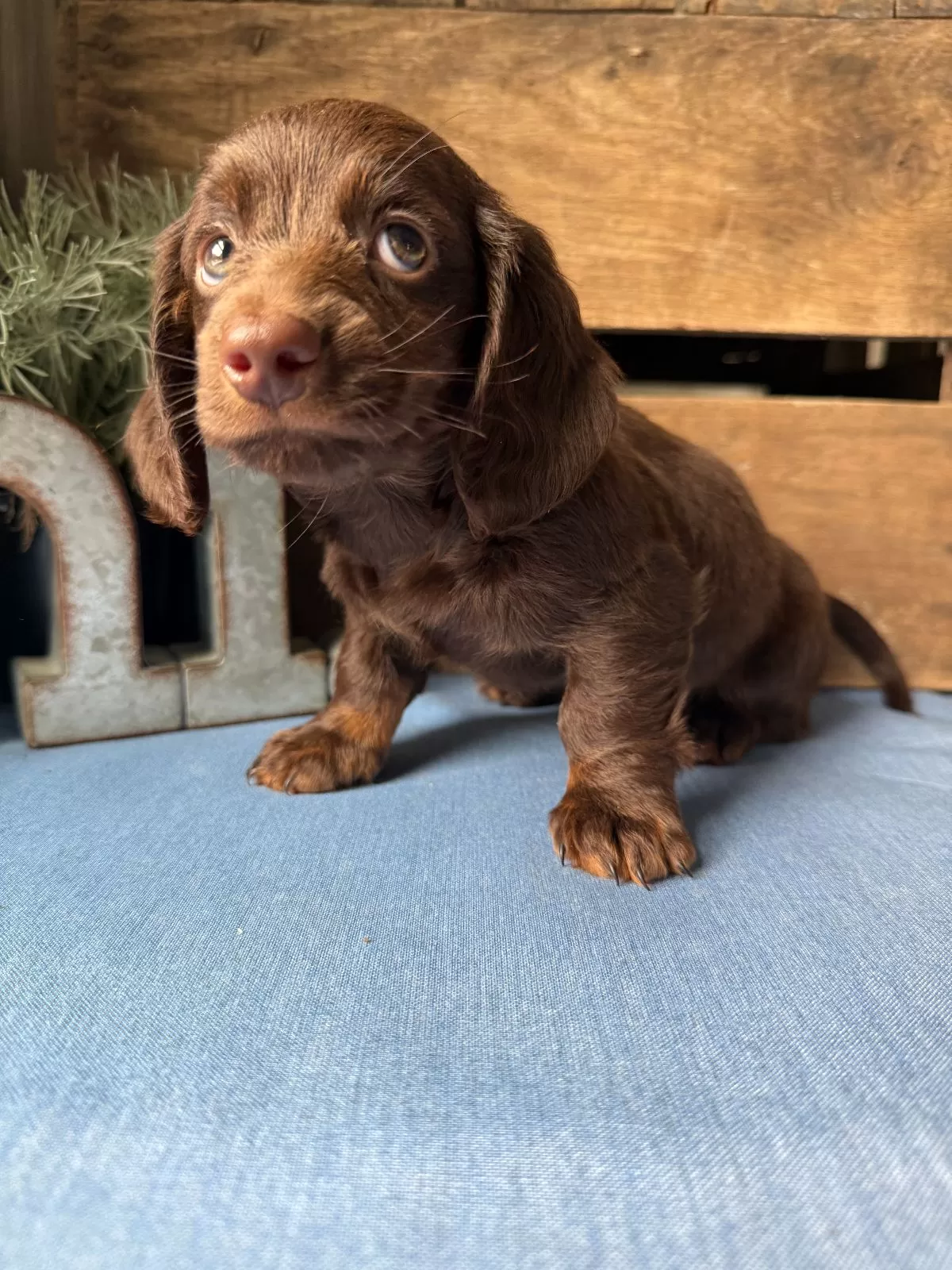 Hershey