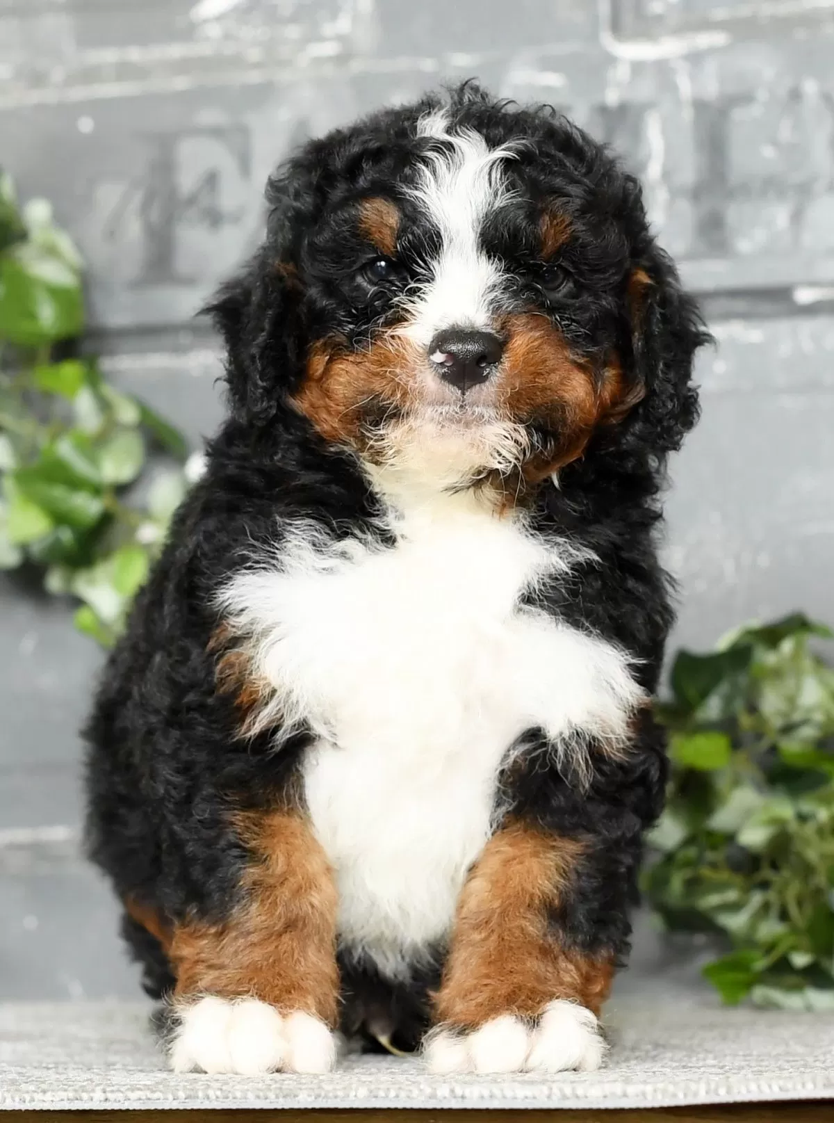 Tatum