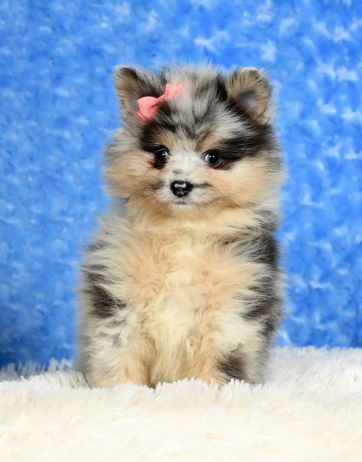 Nala