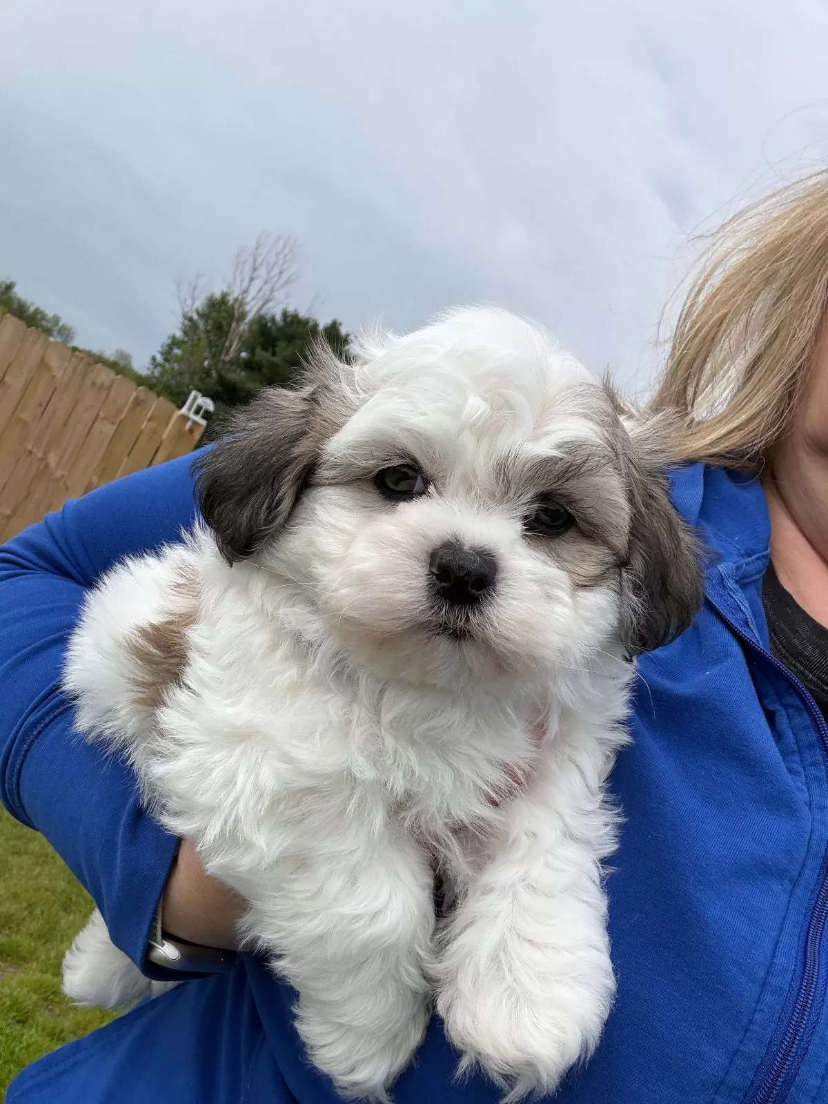 Puppy Name: Fluffie