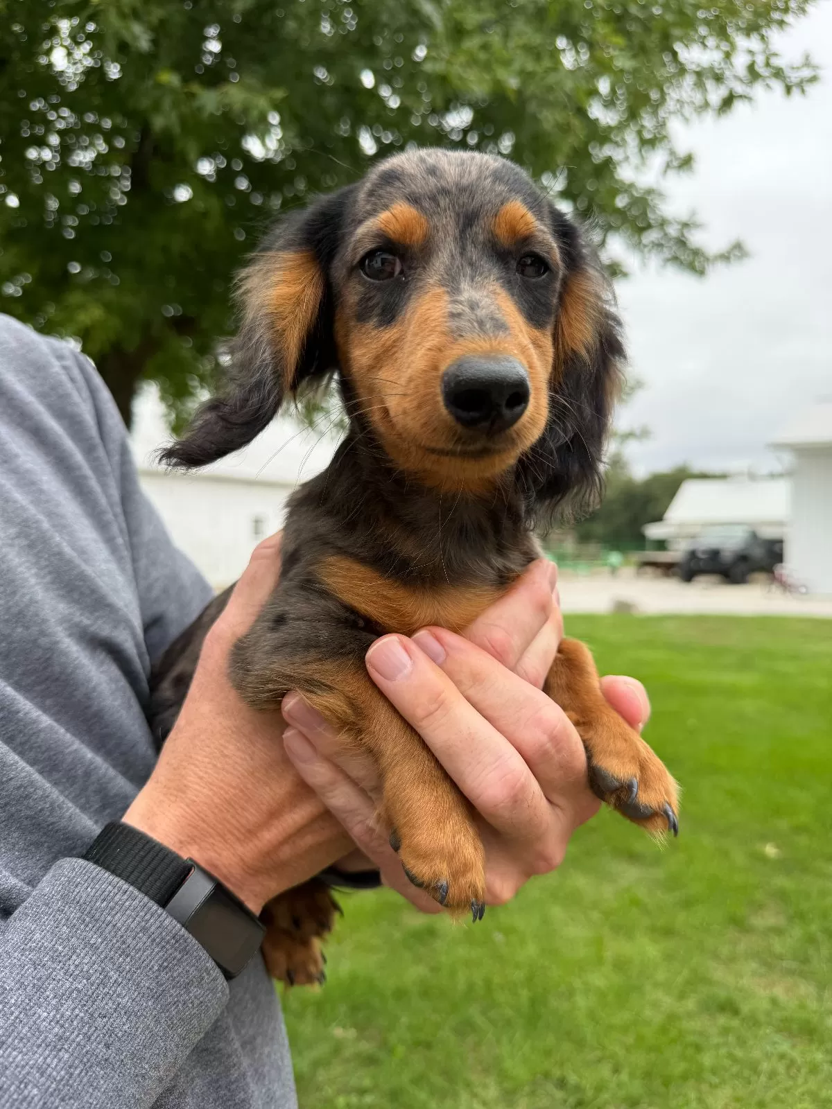 Puppy Name: Chuck