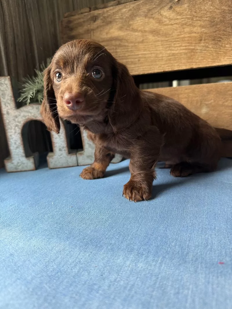 Hershey