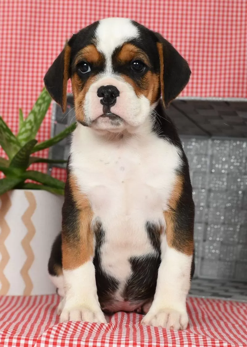 Winnie