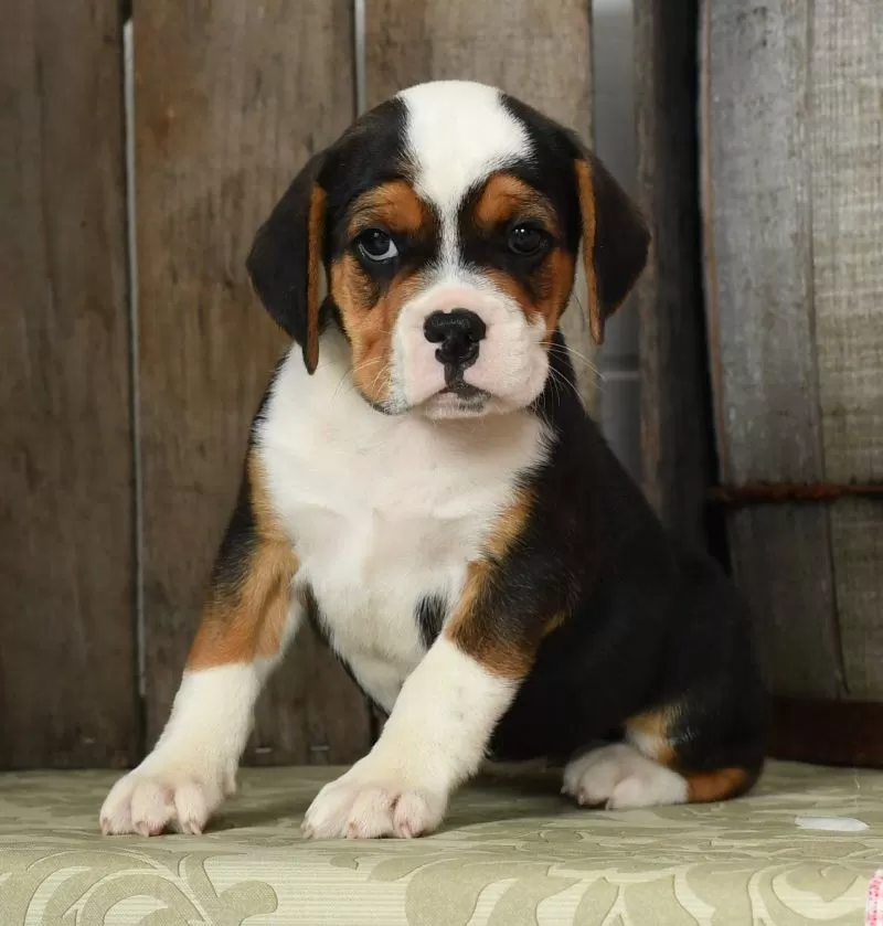 Winnie