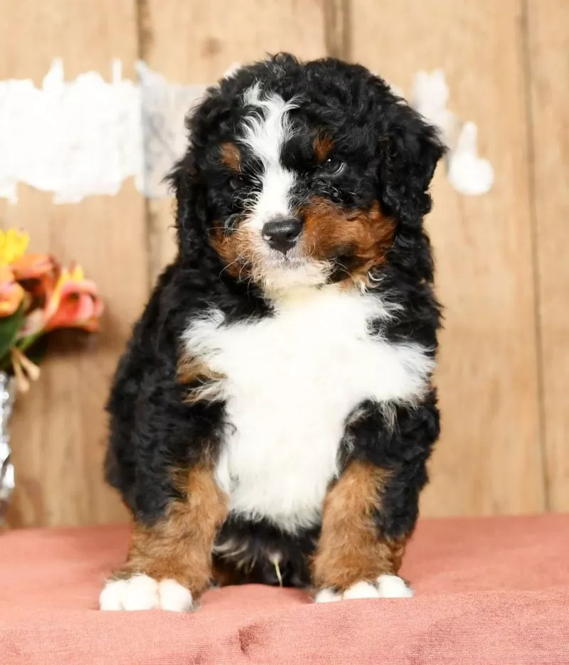 Tatum