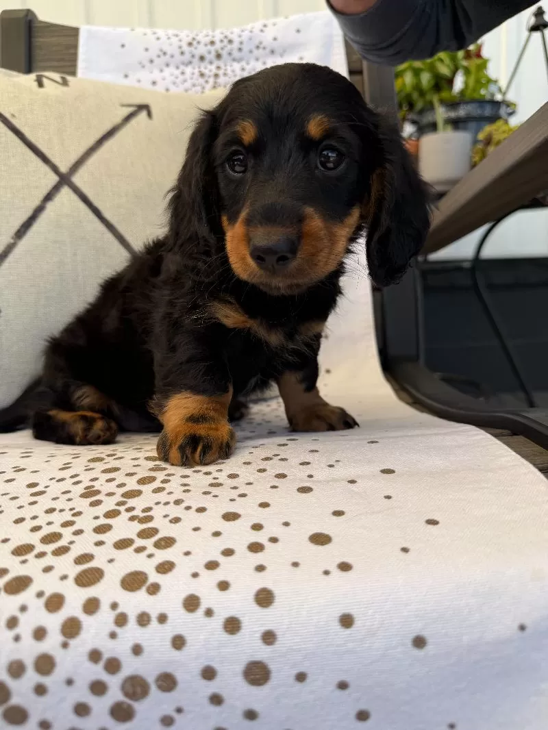 Victor