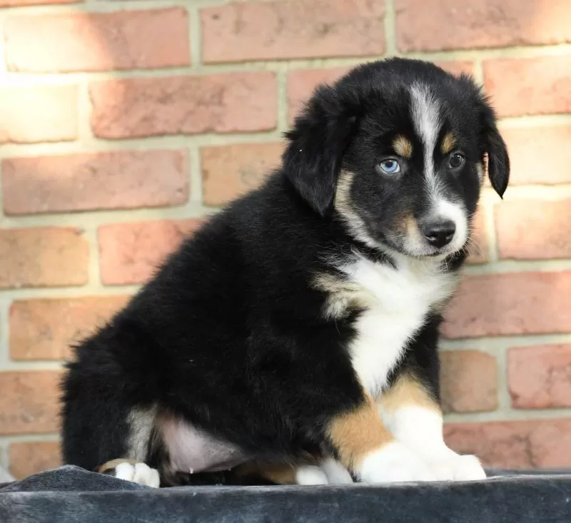Rory