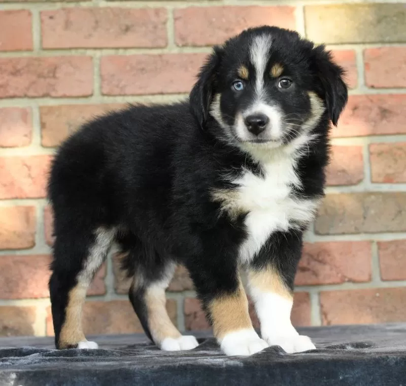 Rory