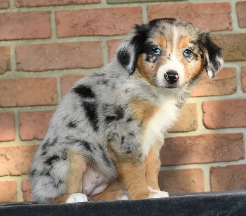 Riley