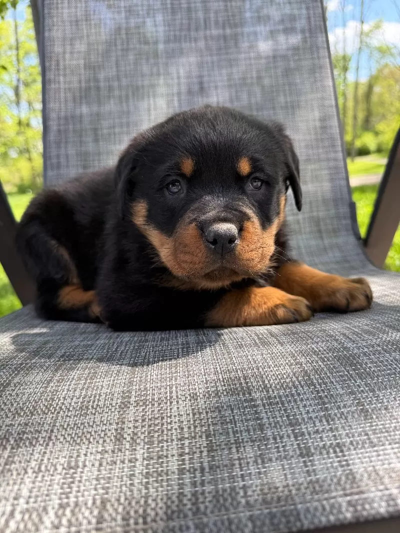 Titan