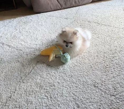 Jude