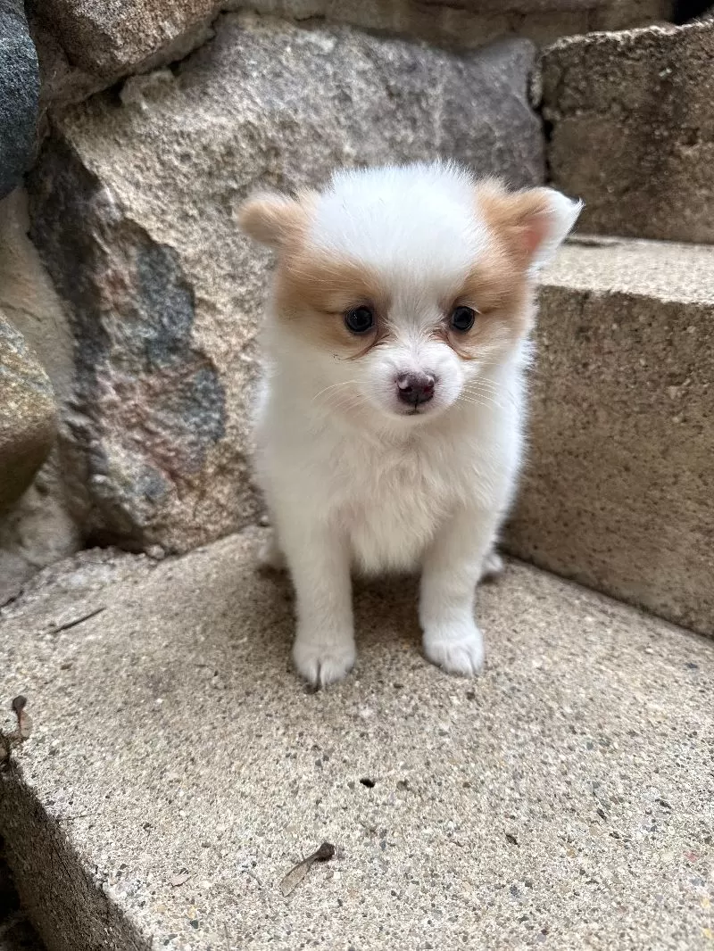 Rudy