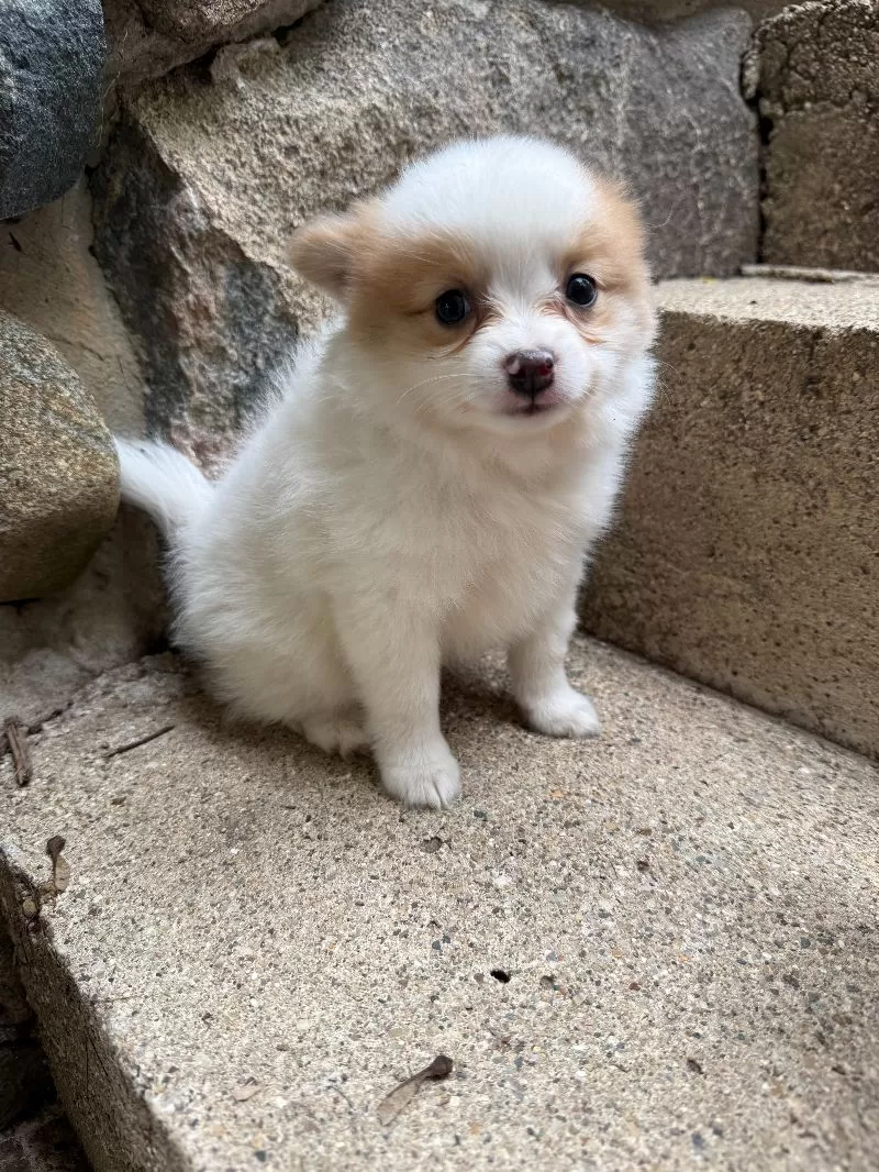 Rudy